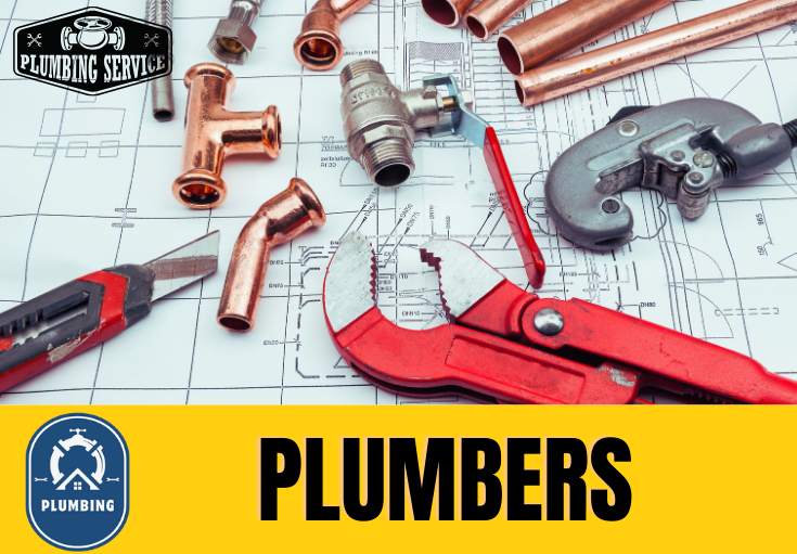  plumber Allington
